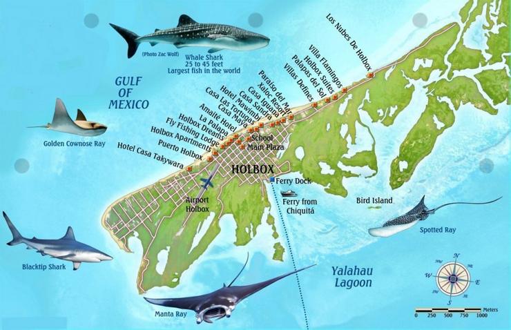 Mapa de la isla de Holbox